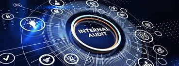 The Role of Internal Audit in Corporate Governance: Beyond Compliance